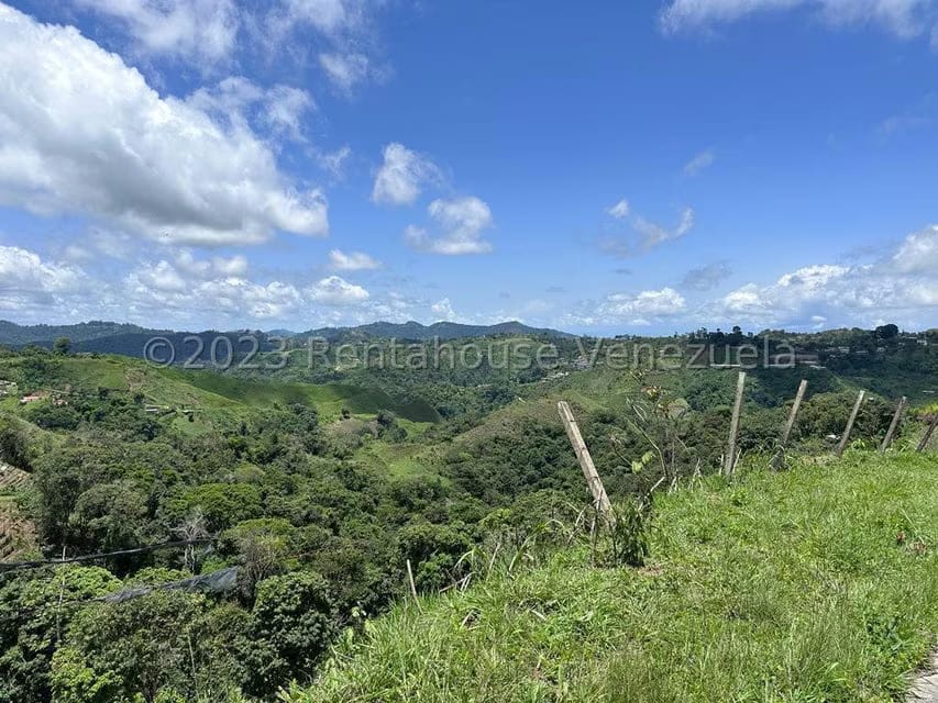 Terreno (Finca) en Venta en El Limon, Miranda - 12