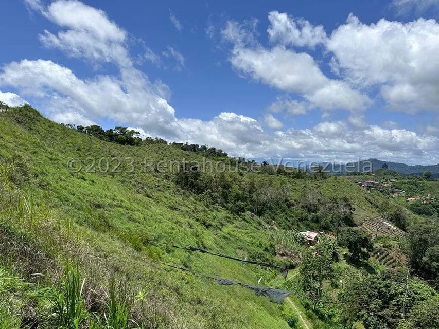 Terreno (Finca) en Venta en El Limon, Miranda - 16