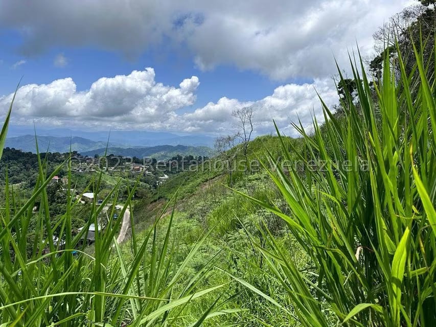 Terreno (Finca) en Venta en El Limon, Miranda - 17