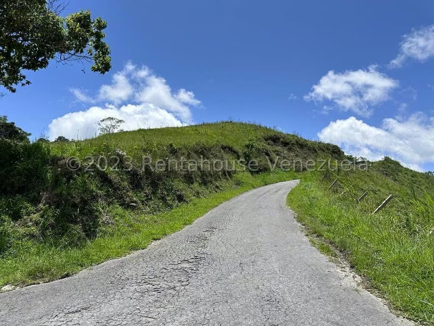 Terreno (Finca) en Venta en El Limon, Miranda - 4