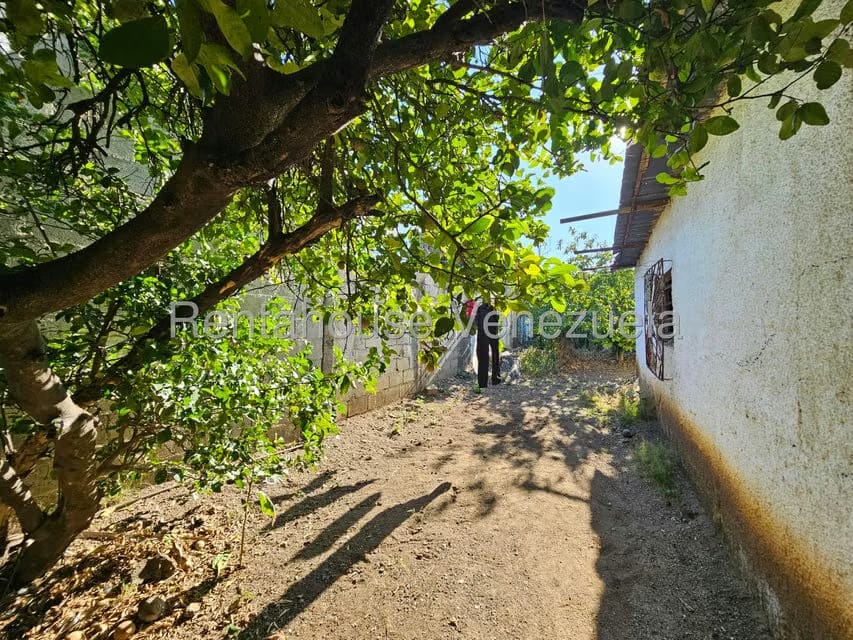 Terreno (Comercial) en Venta en Centro, Lara - 7