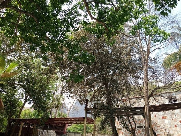 Posada Turística Carretera Villa De Cura San Juan De Los Morros Caserio Piritu - 15