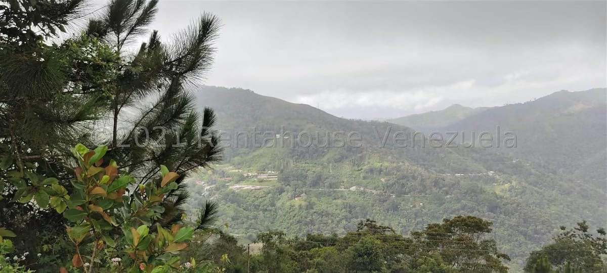 Casa (Duplex) en Venta en Parcelamiento Cortada del guayabo, Miranda - 4