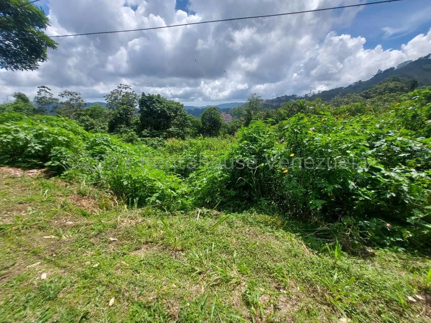 Terreno (Residencial) en Venta en Oripoto, Distrito Metropolitano - 4