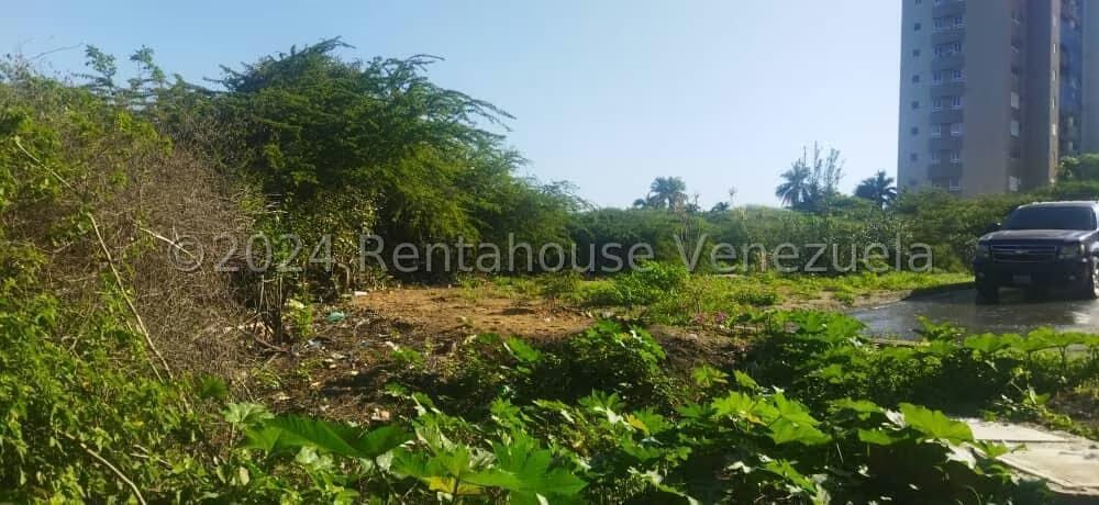 Terreno (Comercial) en Venta en Playa Grande, Vargas - 25