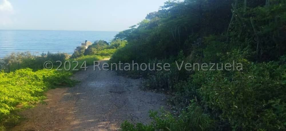 Terreno (Comercial) en Venta en Playa Grande, Vargas - 29