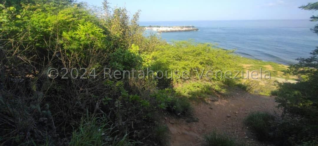 Terreno (Comercial) en Venta en Playa Grande, Vargas - 40