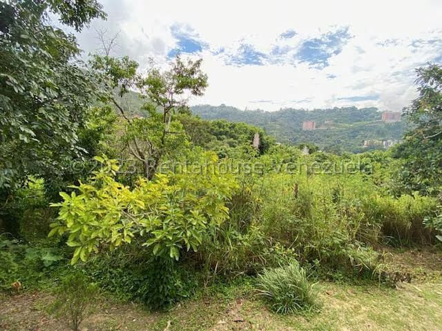 Terreno (Finca) en Venta en Monterrey, Distrito Metropolitano - 7