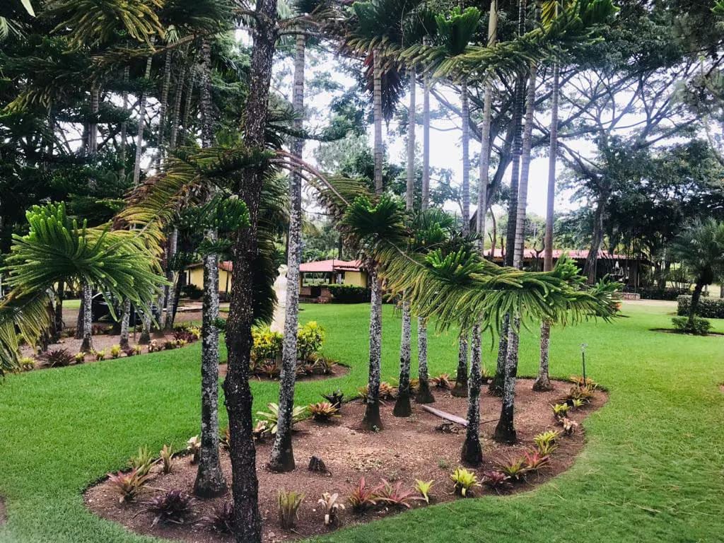 CASA DE CAMPO EN TINAQUILLO – COJEDES - 8