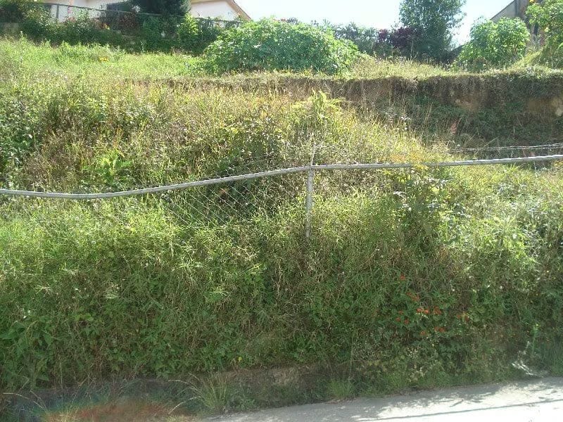 Terreno (Residencial) en Venta en Altos de Carimao, Distrito Metropolitano - 18
