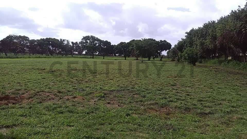 TERRENO EN VENTA EN LA AVENIDA INTERCOMUNAL DE LA CIUDAD DE EL TIGRE