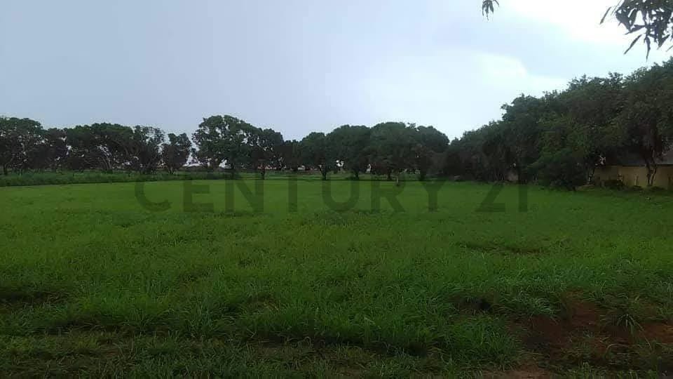 TERRENO EN VENTA EN LA AVENIDA INTERCOMUNAL DE LA CIUDAD DE EL TIGRE - 2