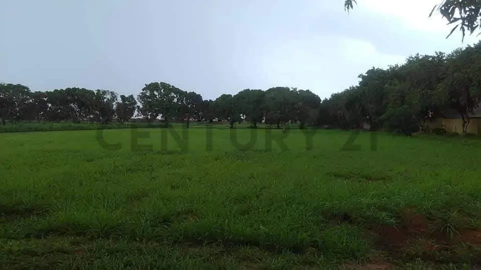 TERRENO EN VENTA EN LA AVENIDA INTERCOMUNAL DE LA CIUDAD DE EL TIGRE - 2