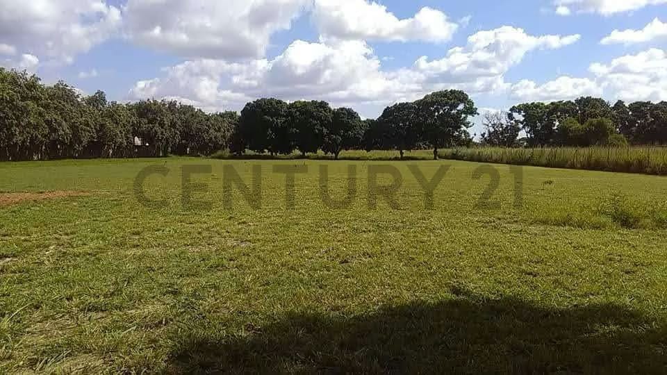 TERRENO EN VENTA EN LA AVENIDA INTERCOMUNAL DE LA CIUDAD DE EL TIGRE - 3