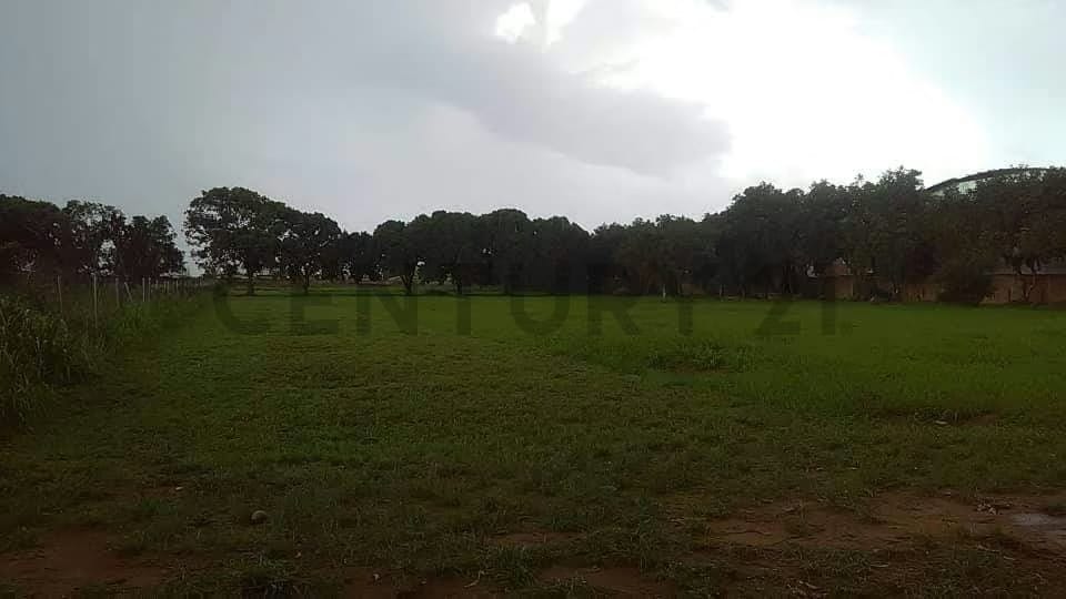 TERRENO EN VENTA EN LA AVENIDA INTERCOMUNAL DE LA CIUDAD DE EL TIGRE - 4