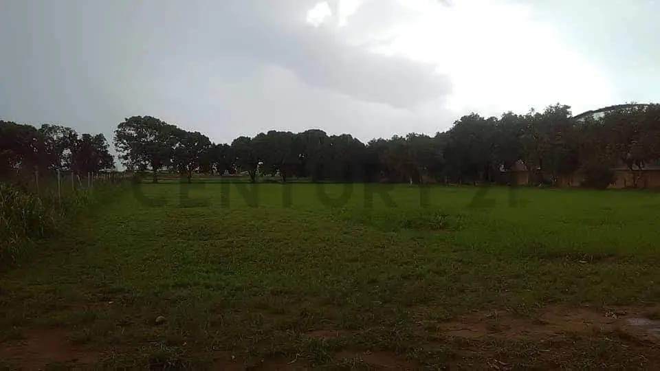 TERRENO EN VENTA EN LA AVENIDA INTERCOMUNAL DE LA CIUDAD DE EL TIGRE - 4