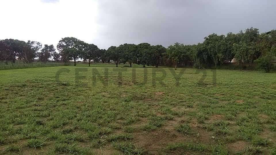 TERRENO EN VENTA EN LA AVENIDA INTERCOMUNAL DE LA CIUDAD DE EL TIGRE - 5