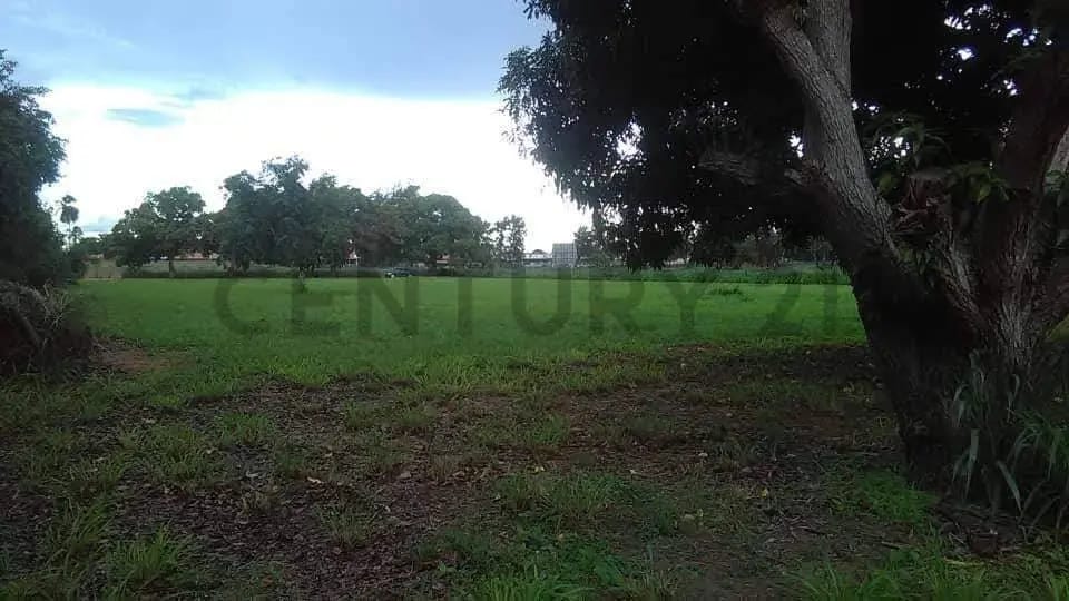 TERRENO EN VENTA EN LA AVENIDA INTERCOMUNAL DE LA CIUDAD DE EL TIGRE - 6