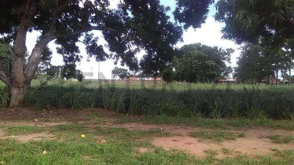 TERRENO EN VENTA EN LA AVENIDA INTERCOMUNAL DE LA CIUDAD DE EL TIGRE - 8