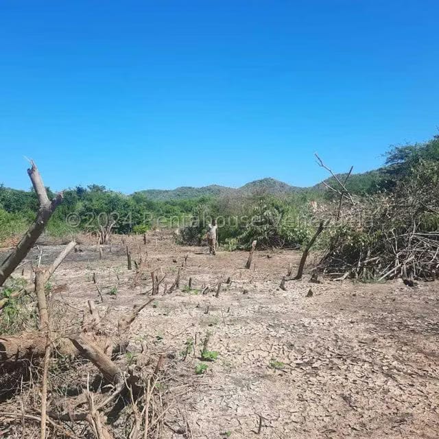 Terreno (Industrial) en Venta en Guatamare, Nueva Esparta - 11