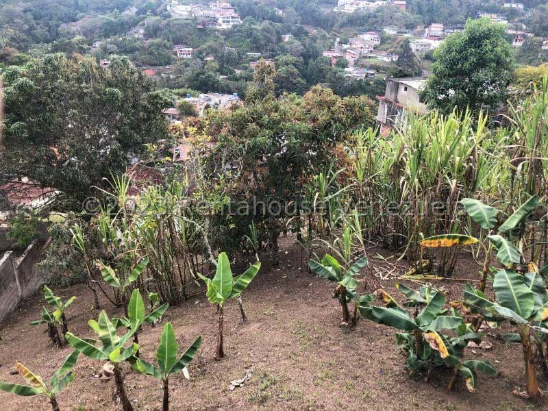 Casa (Duplex) en Venta en Las Polonias Nuevas, Miranda - 44