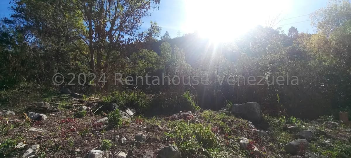 Terreno (Finca) en Venta en Mucujun, Merida - 18