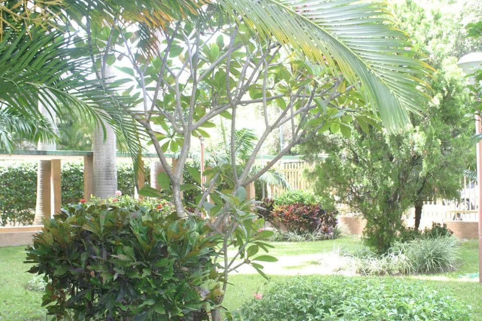 Apartamento (1 Nivel) en Venta en Colinas de Bello Monte, Distrito Metropolitano - 28