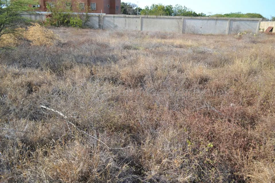 Terreno (Residencial) en Venta en Sector Los Orumos, Falcon - 2