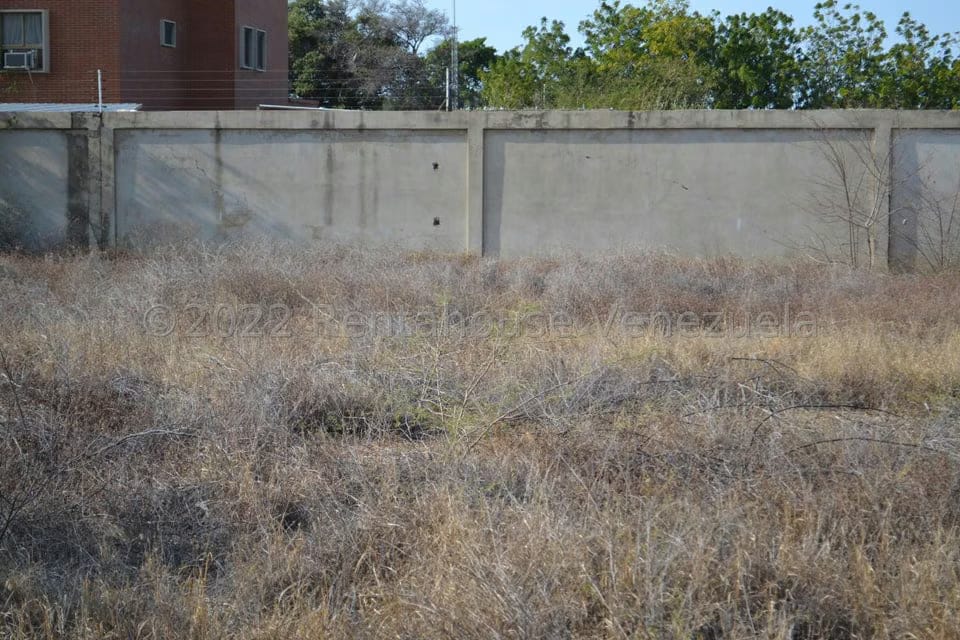 Terreno (Residencial) en Venta en Sector Los Orumos, Falcon - 14