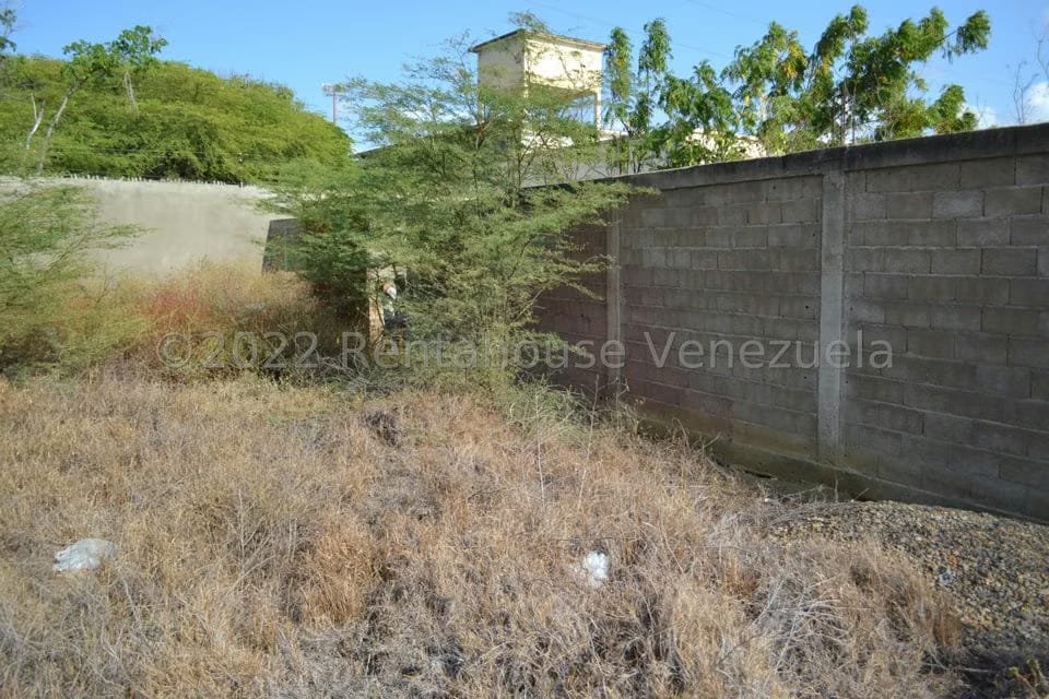 Terreno (Residencial) en Venta en Sector Los Orumos, Falcon - 17