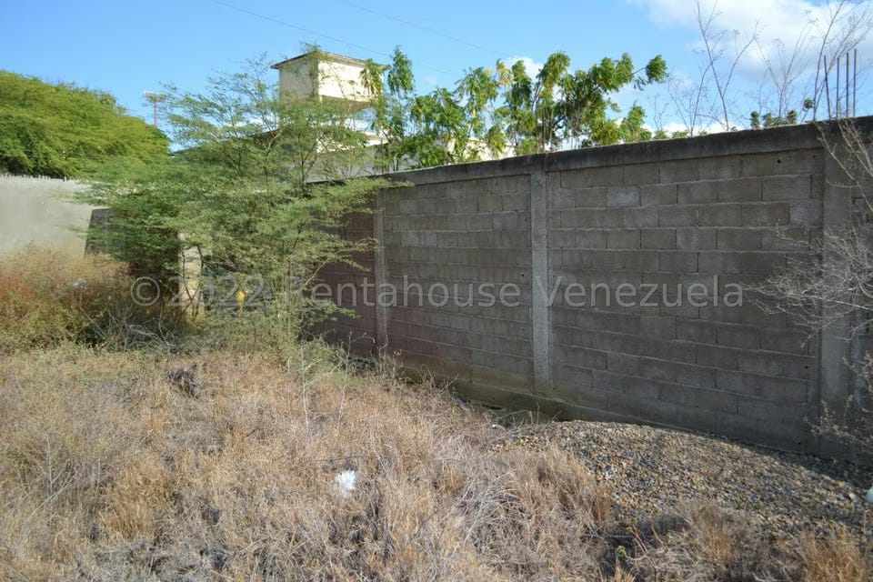 Terreno (Residencial) en Venta en Sector Los Orumos, Falcon - 3