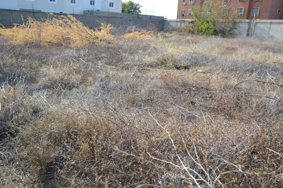 Terreno (Residencial) en Venta en Sector Los Orumos, Falcon - 4