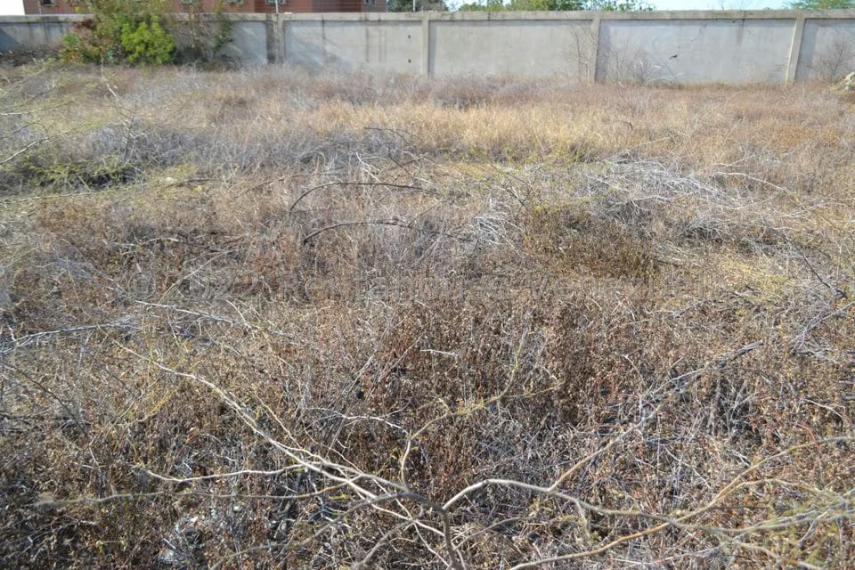 Terreno (Residencial) en Venta en Sector Los Orumos, Falcon - 5