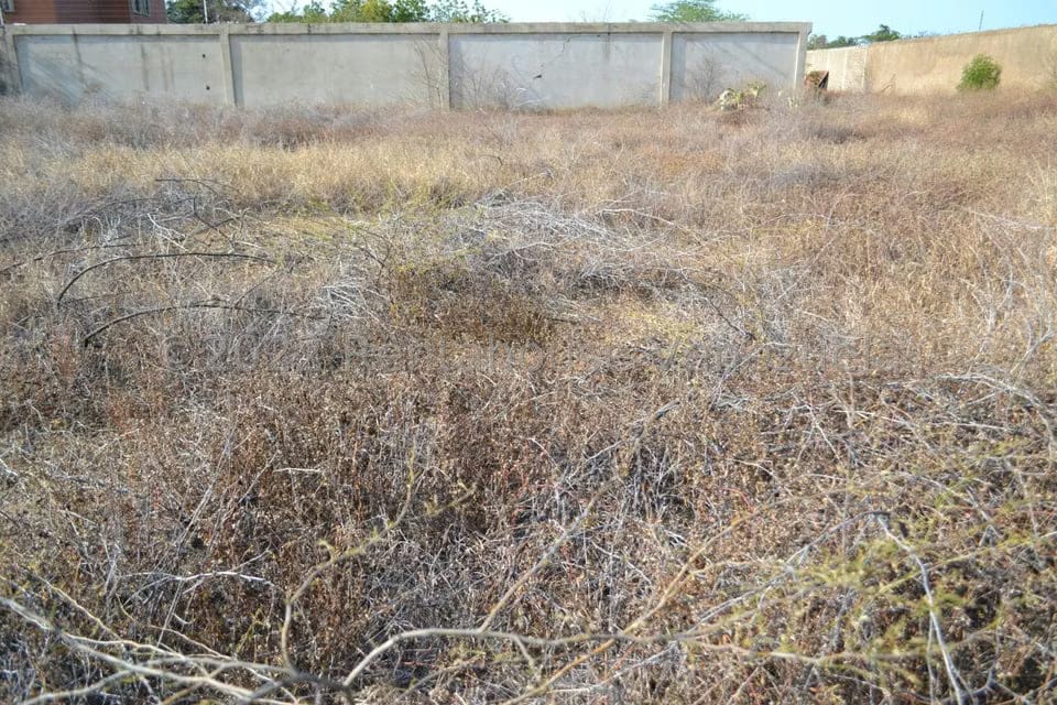 Terreno (Residencial) en Venta en Sector Los Orumos, Falcon - 6