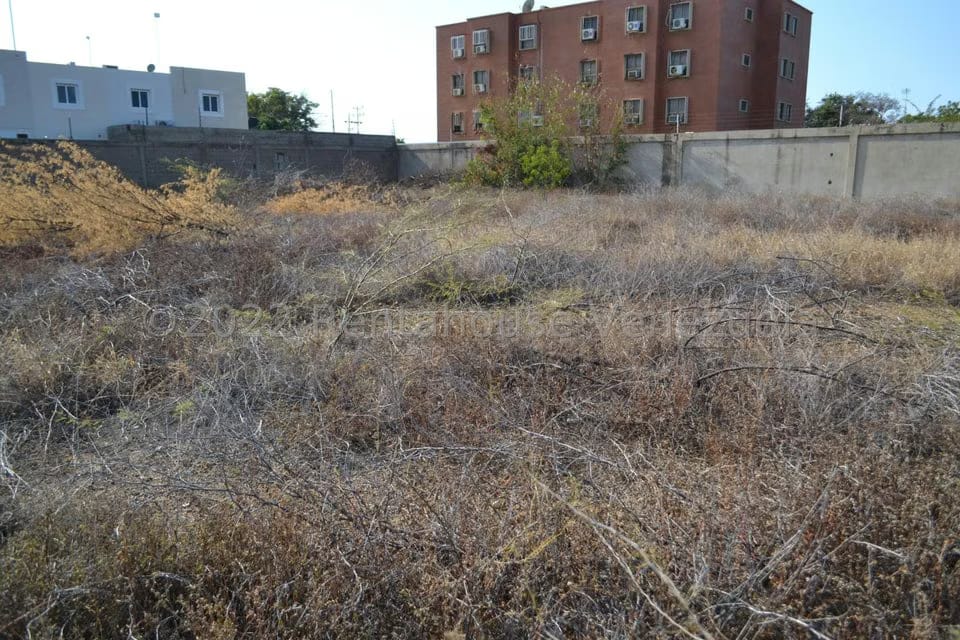 Terreno (Residencial) en Venta en Sector Los Orumos, Falcon - 7