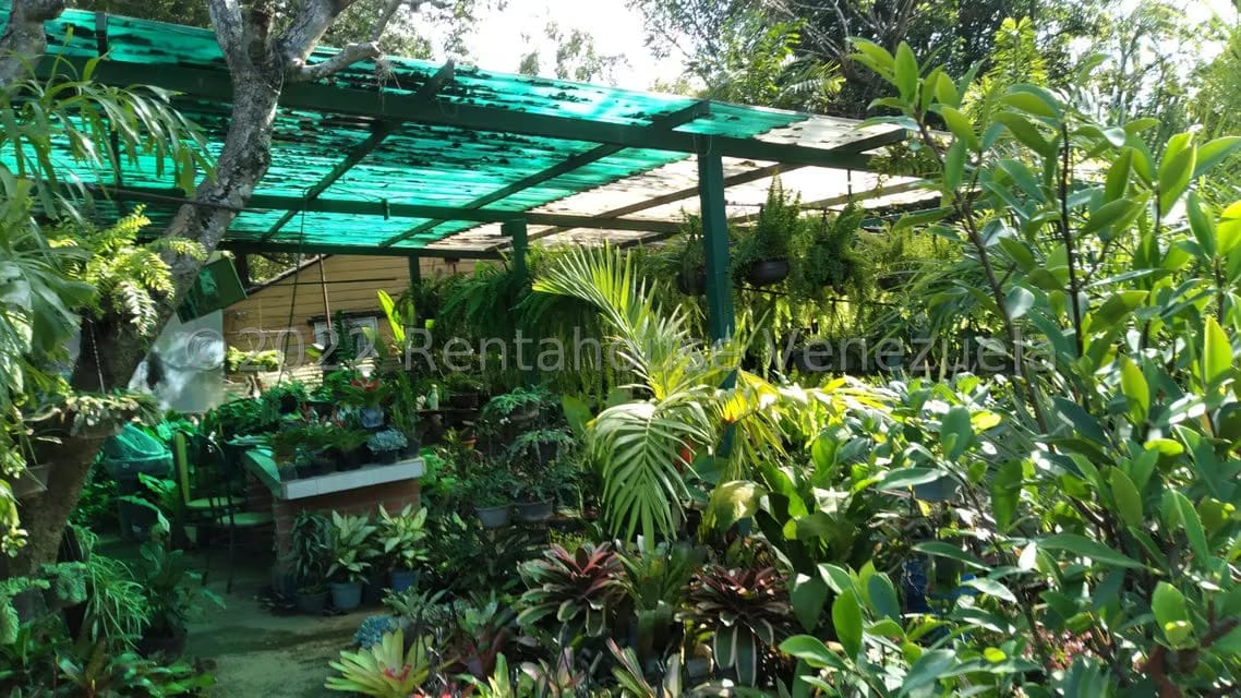 Terreno (Residencial) en Venta en Los Chorros, Distrito Metropolitano - 2