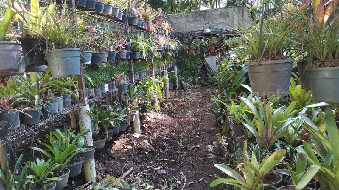 Terreno (Residencial) en Venta en Los Chorros, Distrito Metropolitano - 13