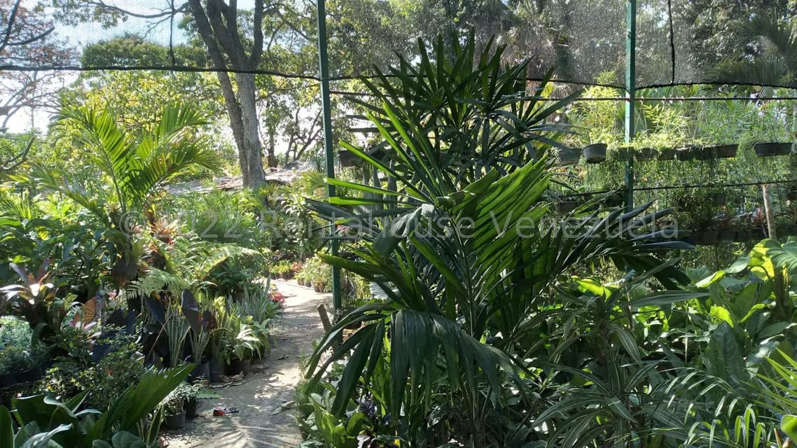 Terreno (Residencial) en Venta en Los Chorros, Distrito Metropolitano - 4