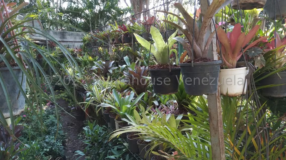 Terreno (Residencial) en Venta en Los Chorros, Distrito Metropolitano - 7