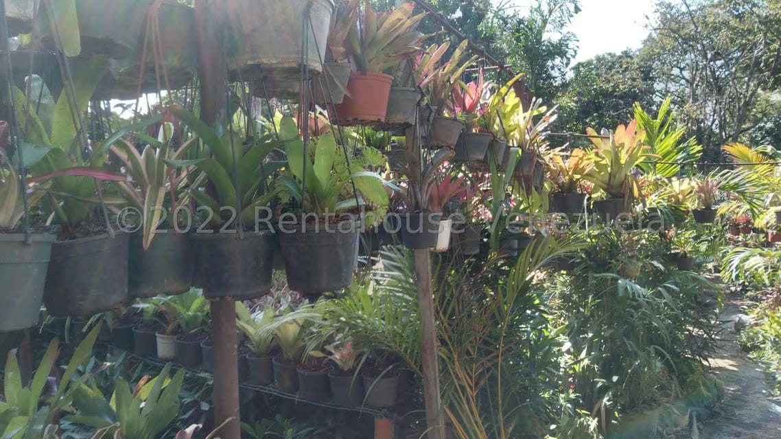 Terreno (Residencial) en Venta en Los Chorros, Distrito Metropolitano - 9