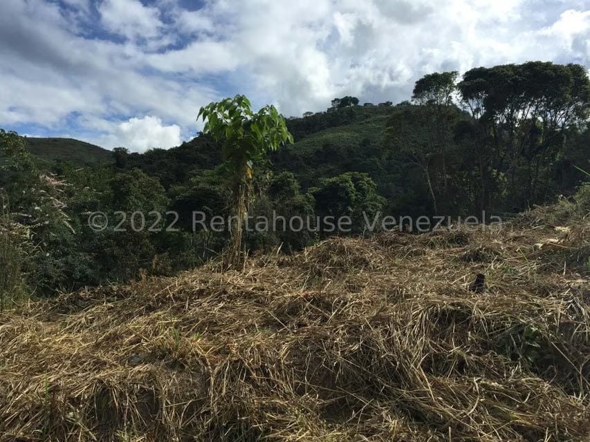 Terreno (Residencial) en Venta en Karimao Country, Distrito Metropolitano