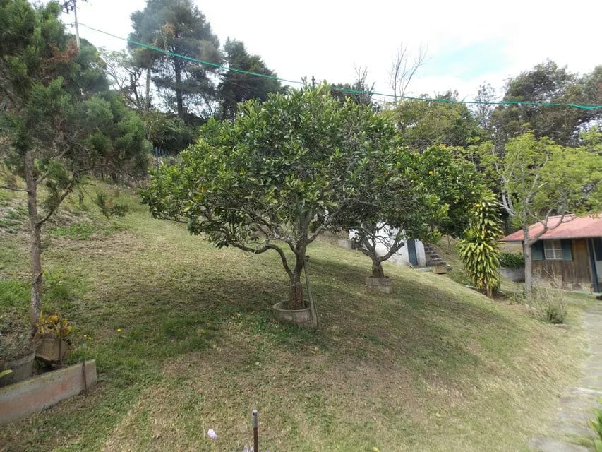 Casa (1 Nivel) en Venta en El Junko, Distrito Metropolitano - 33