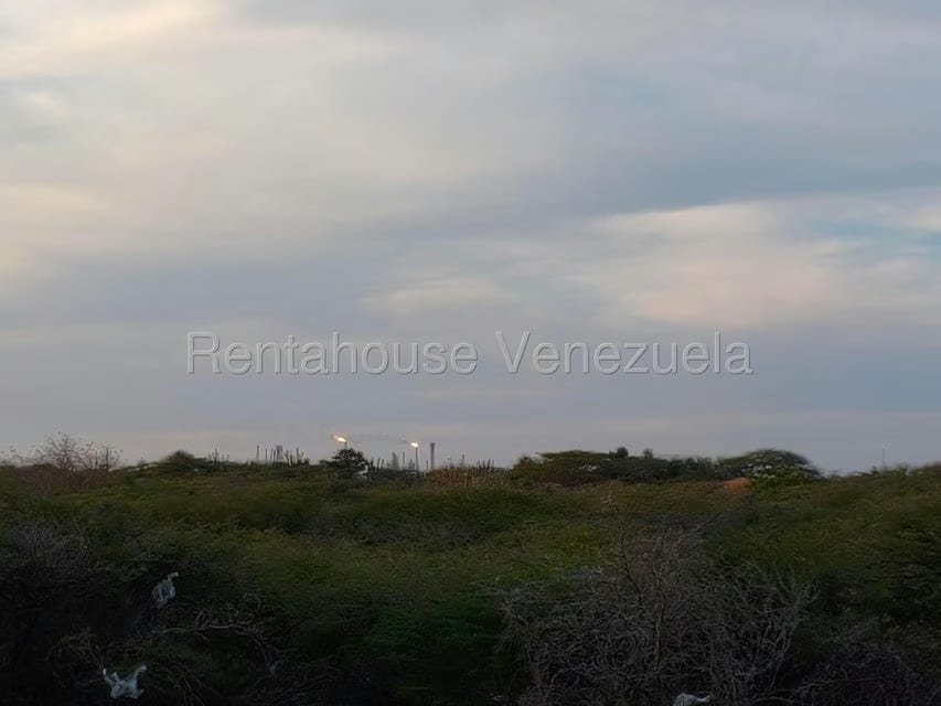 Terreno (Residencial) en Venta en Punto Fijo, Falcon