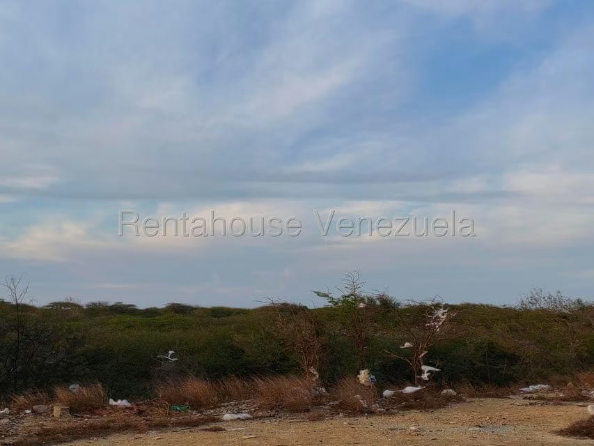 Terreno (Residencial) en Venta en Punto Fijo, Falcon - 11