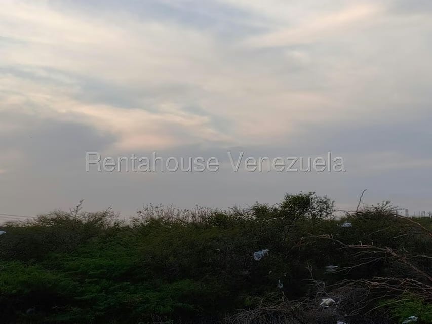 Terreno (Residencial) en Venta en Punto Fijo, Falcon - 12