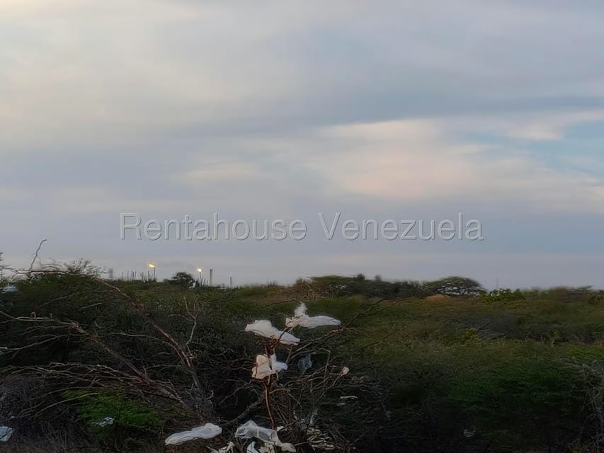 Terreno (Residencial) en Venta en Punto Fijo, Falcon - 13