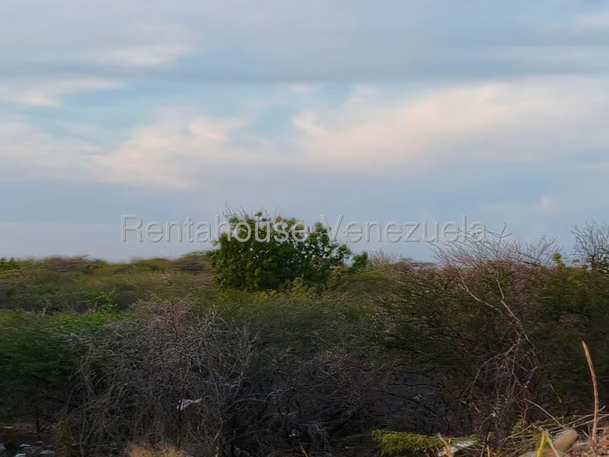 Terreno (Residencial) en Venta en Punto Fijo, Falcon - 14
