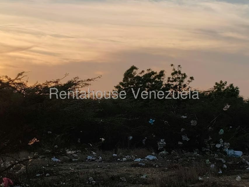 Terreno (Residencial) en Venta en Punto Fijo, Falcon - 15