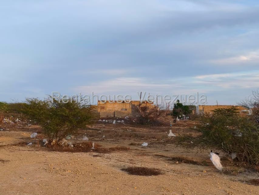 Terreno (Residencial) en Venta en Punto Fijo, Falcon - 5