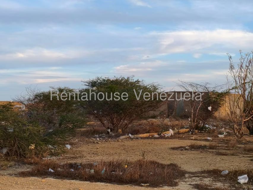 Terreno (Residencial) en Venta en Punto Fijo, Falcon - 6